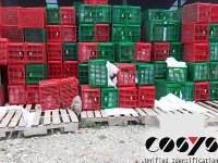 Mehrwegbehälter nachhaltig mit COSYS nutzen