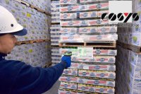 Übersicht im Fulfillment Center dank Lagerverwaltungssoftware