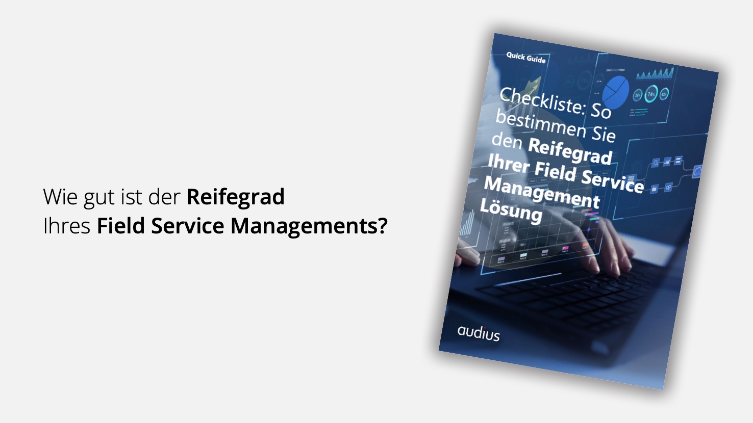 Reifegrad des Field Service Managements im Self-Check Reifegrad des Field Service Managements im Self-Check