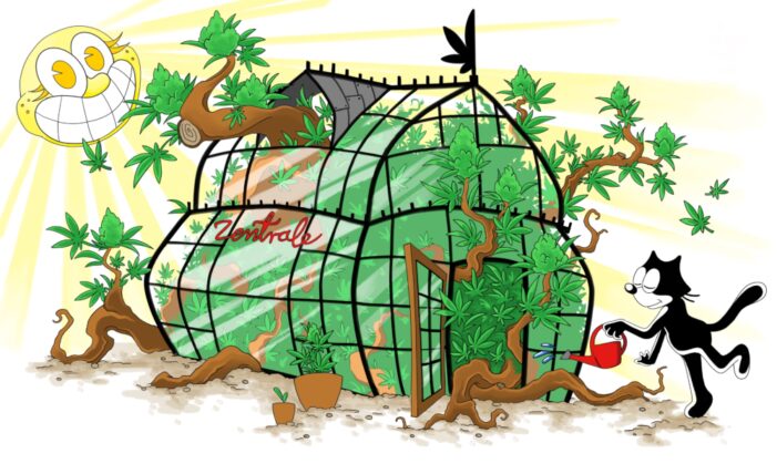 Erste Tauschbörse für Cannabis-Vermehrungsmaterial Deutschlands ist online!