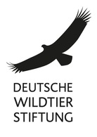 Eichhörnchen Winni entdeckt die Feuchtgebiete / Dritte Staffel des Kinderpodcasts der Deutschen Wildtier Stiftung mit Annette Frier startet