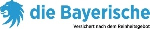 Dr. Annika Obermayer wird neue Leiterin des Geschäftsbereich Komposit bei der Bayerischen