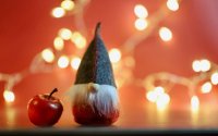 Teamarbeit wie im Weihnachtswunderland– Was Projektteams von den Helfern des Nikolaus lernen können