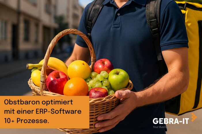 Effiziente ERP-Transformation mit Low-Code