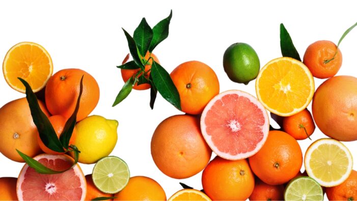 Microsoft-Partner xalution optimiert Vertriebsprozesse bei SanLucar