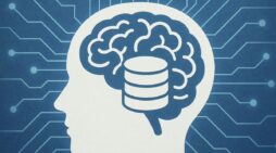 Neu erschienen: „Das etwas andere Datenbank-Buch“ von Markus Schall – Daten verstehen statt nur verwenden