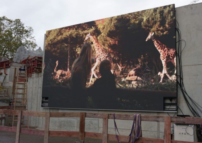 Installation einer 3D-fähigen Videowand auf einem Leipziger Bauareal