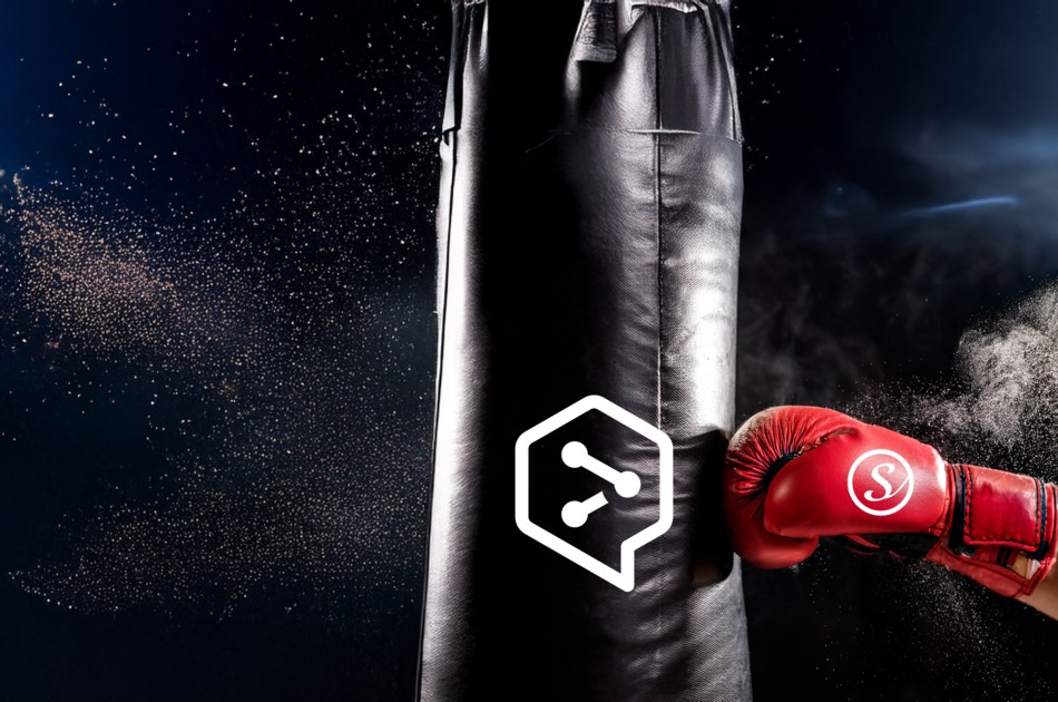 MultiSearch schlägt DeepL: Diese Funktionen gibt es nur bei Schmieder.