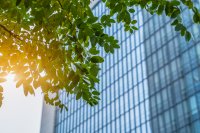 dbh veröffentlicht Nachhaltigkeitsbericht 2025