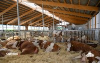 Komplexität im Griff: Wie Wolf System seinen Angebotsprozess standardisiert und skaliert Komplexität im Griff: Wie Wolf System seinen Angebotsprozess standardisiert und skaliert