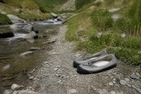 Inlandstourismus erreicht im ersten Halbjahr 2026 einen Rekord— im Juni brechen die Übernachtungen von Gästen aus Deutschland um 3,6 Prozent ein Inlandstourismus erreicht im ersten Halbjahr 2026 einen Rekord— im Juni brechen die Übernachtungen von Gästen aus Deutschland um 3,6 Prozent ein